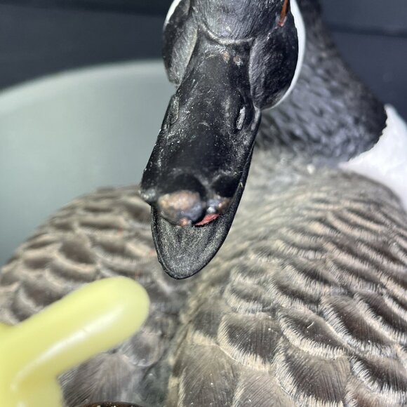 Gosset Wildlife Collection Canada Goose With Chicks 150/2000 Figurine ** READ CA - Picture 10 of 16